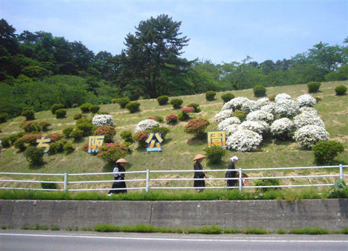 きみまち坂公園